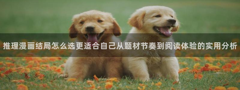 漫画岛漫画内容导航