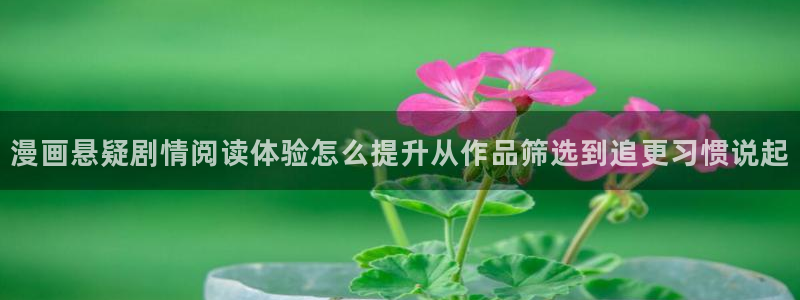 漫画岛网站