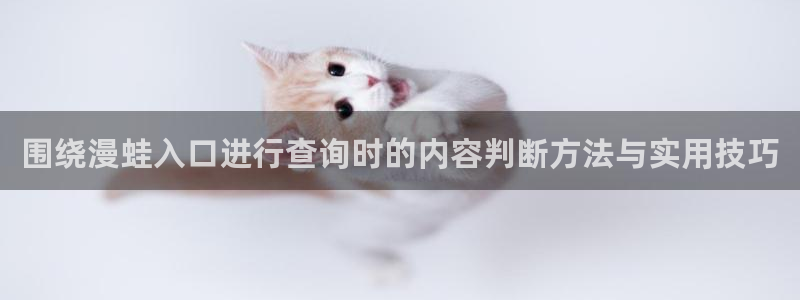 漫画岛更新大全